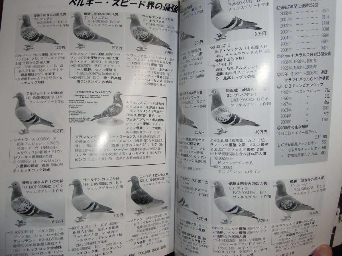 埼玉県坂戸市の居酒屋 ジビエバンデット レース用の鳩を捕獲して客に提供か 食事処 埼玉県坂戸市の居酒屋 ジビエバンデット レース用の鳩を捕獲して客に提供か 食事処