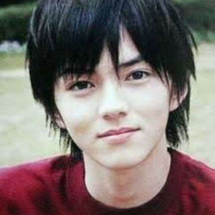 ジャニーズ事務所に履歴書を送ったら書類審査は受かりそうな人 : がー 