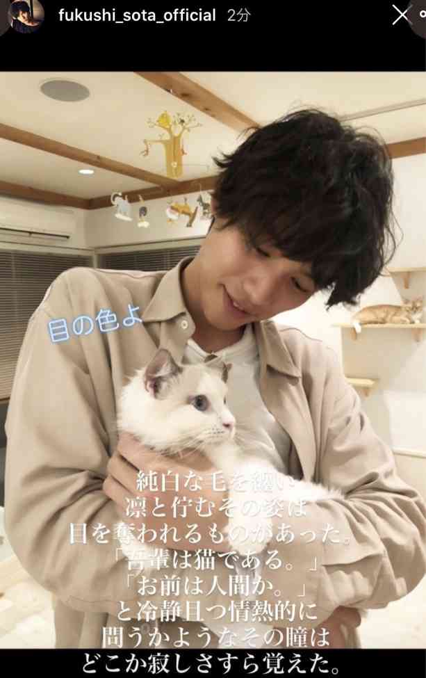 吉沢亮 再びヒゲ写真公開で歓喜の声 1度なくなるも また伸びてました笑 がーるずとーく 吉沢亮 再びヒゲ写真公開で歓喜の声 1度なくなるも また伸びてました笑 がーるずとーく