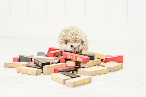 KAZUHIRO171013331_TP_V4