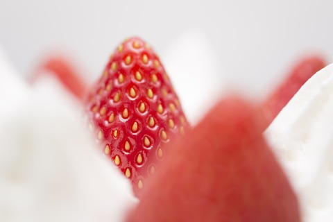 PAK57_ichigotonamacream_TP_V