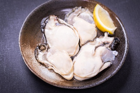 2kakiuma-IMGL8019-o_TP_V