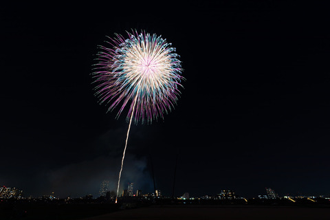 hanabi2019842043_TP_V