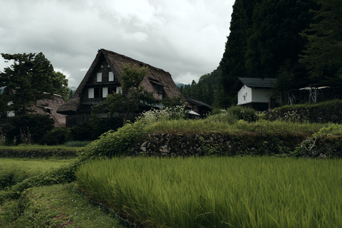 K1_S4394_TP_V