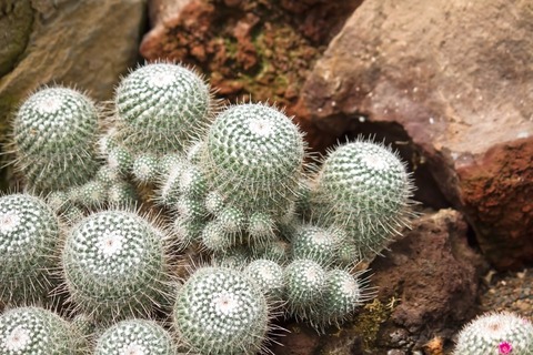 MKJ_mannmarusaboten_TP_V4