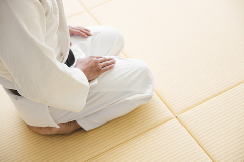 JUDO458A8549_TP_V