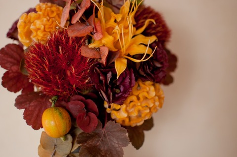 ELL88_akiirohurawa-arenji20140918153808_TP_V