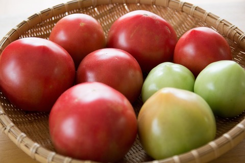 ELFA_tomatoIMG_2835_TP_V