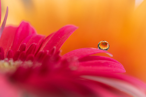 AME20181123C009_TP_V