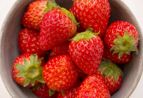 ELF85_utuwayamamori_TP_V4