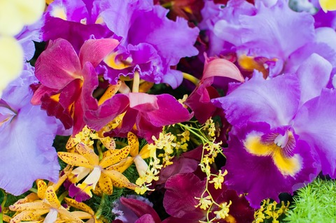 MS251_rantekusucya_TP_V