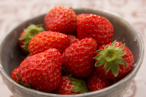 ELF86_owannihaittaichigo_TP_V