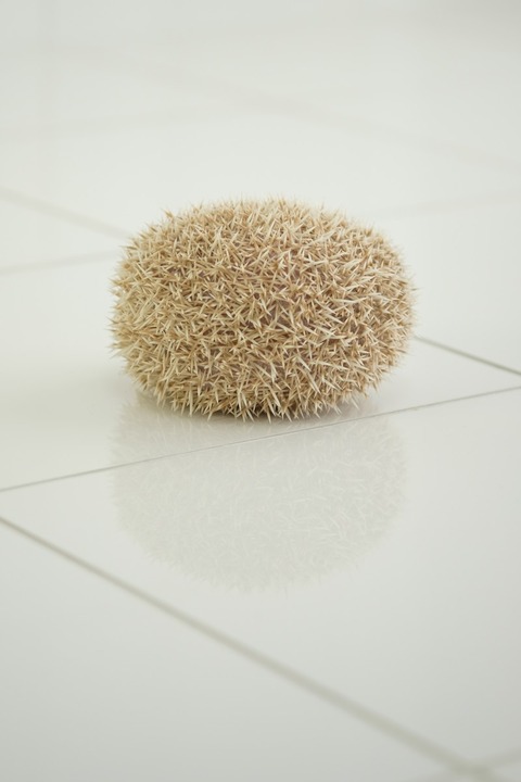 KAZUHIRO171013154_TP_V4