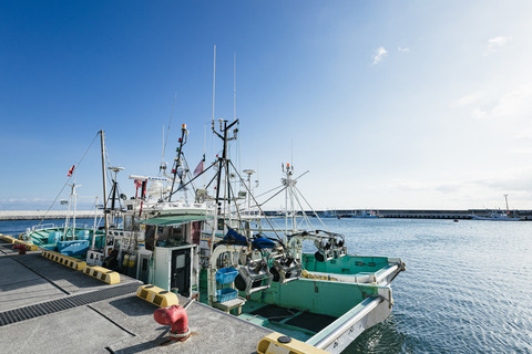 PK-010A1449_TP_V