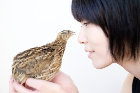 002KAZUKIHIRO171011_TP_V4