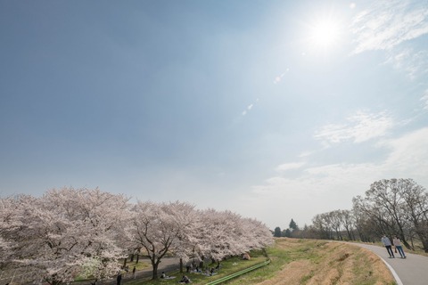 takeru518004_TP_V