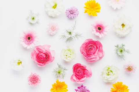 008stockphoto_TP_V