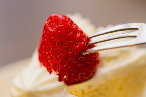 PPO_ichigonifo-ku_TP_V