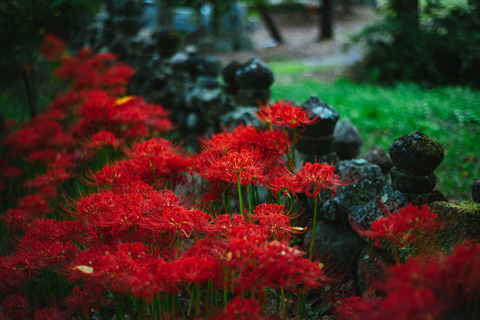 maeda3gou1929027_TP_V