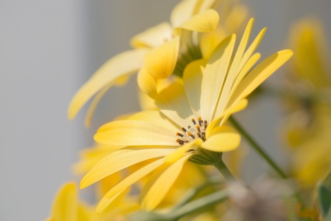 MAR86_demo-ruhoseka_TP_V