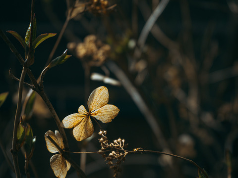 BU329_1241baku210301_10_TP_V