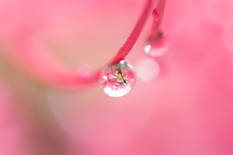 KAZ532_P9270009_TP_V