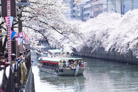 sakura19049FTHG7315_TP_V