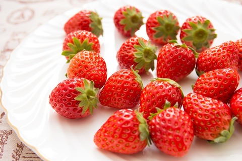 ELF92_osaraniokaretaichigo_TP_V4