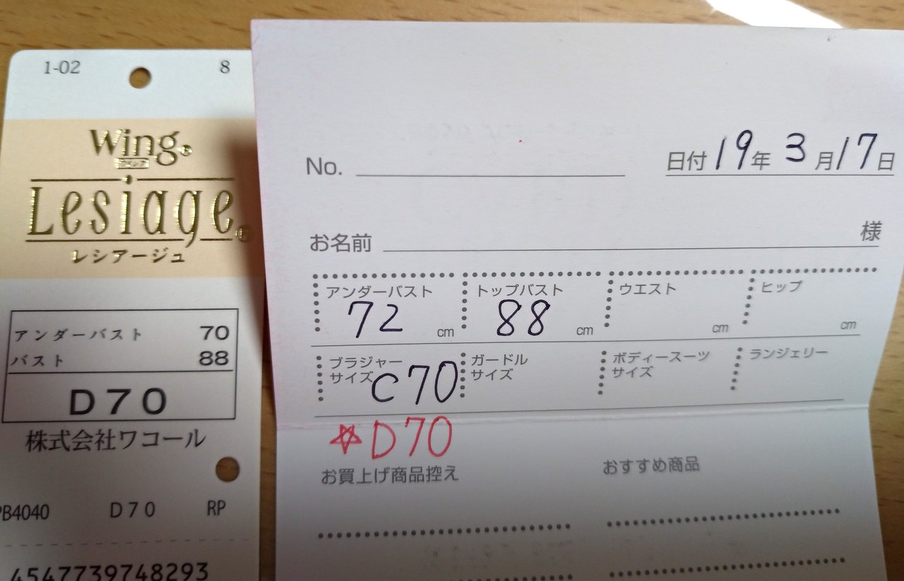 アラフォーmtf 理奈 の育乳日記 番外編 Girlsme 理奈 のmtfブログ