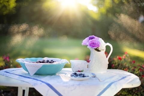 blueberries-1576407_1280