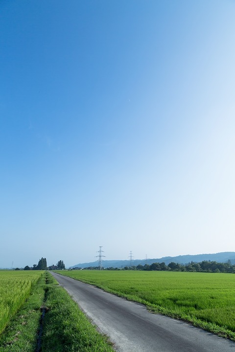 PAK30_tanbotoaozorainaka20130812500 (1)