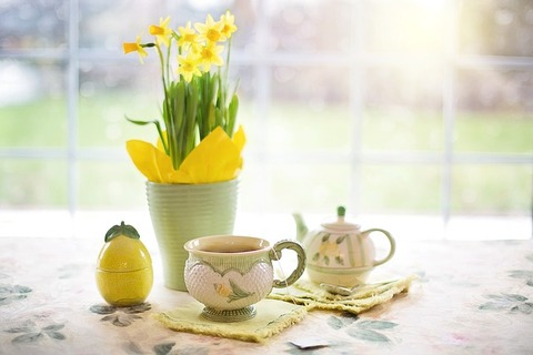 daffodils-1316127_640