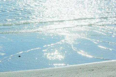 トイレ掃除がいいと言われてるけど どうしてなんだろうね 掃除のもつ力 ガルスピちゃんねる 美容 掃除 プリンセスレッスン 引き寄せなどまとめ