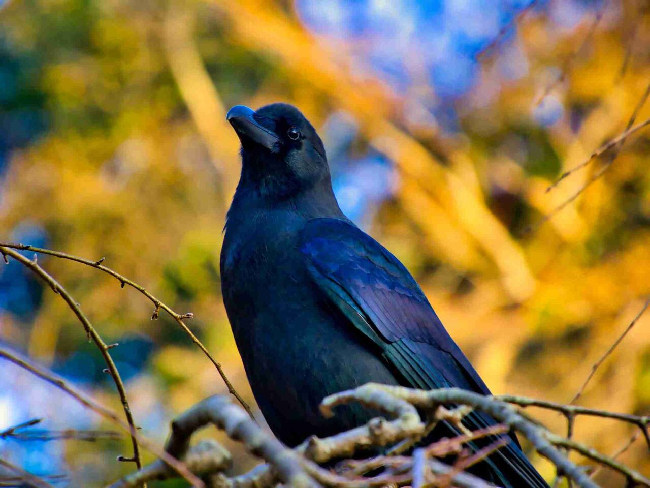 素敵だと思う日本語