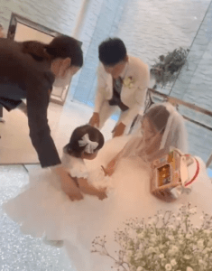 結婚式でリングガールをする1歳娘　しかし…突然の珍行動で「声出して笑った」「全てが満点」参列者も爆笑