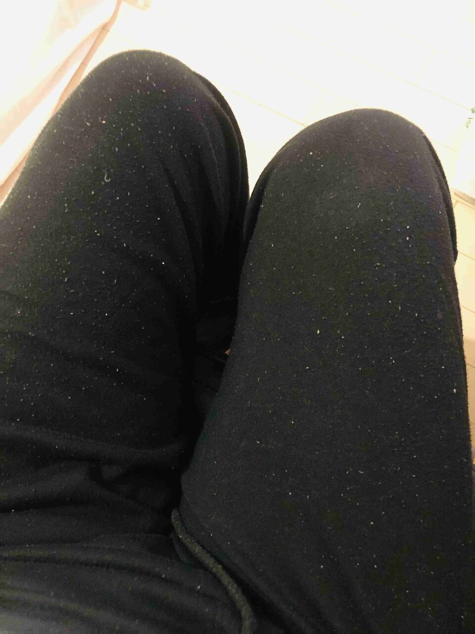 【指令】今着てる服を晒せ