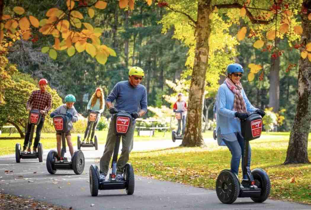 見なくなったし聞かなくなったもの