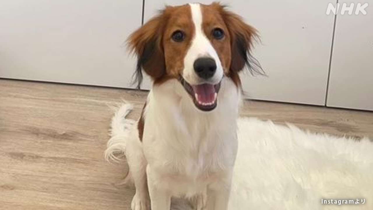 これ、ググらなくてもサラッと言える＋、言えない－