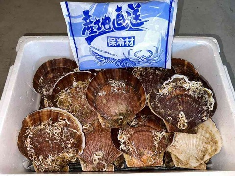 「マッチングアプリ」台頭で苦戦　結婚相談所の倒産が増加、過去最多に