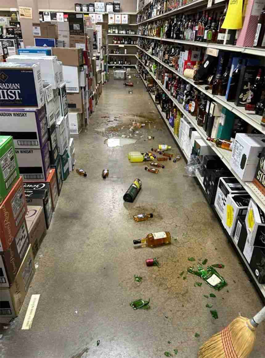 酒屋に侵入したアライグマが酒をガブ飲み。酔っぱらってトイレで行き倒れる