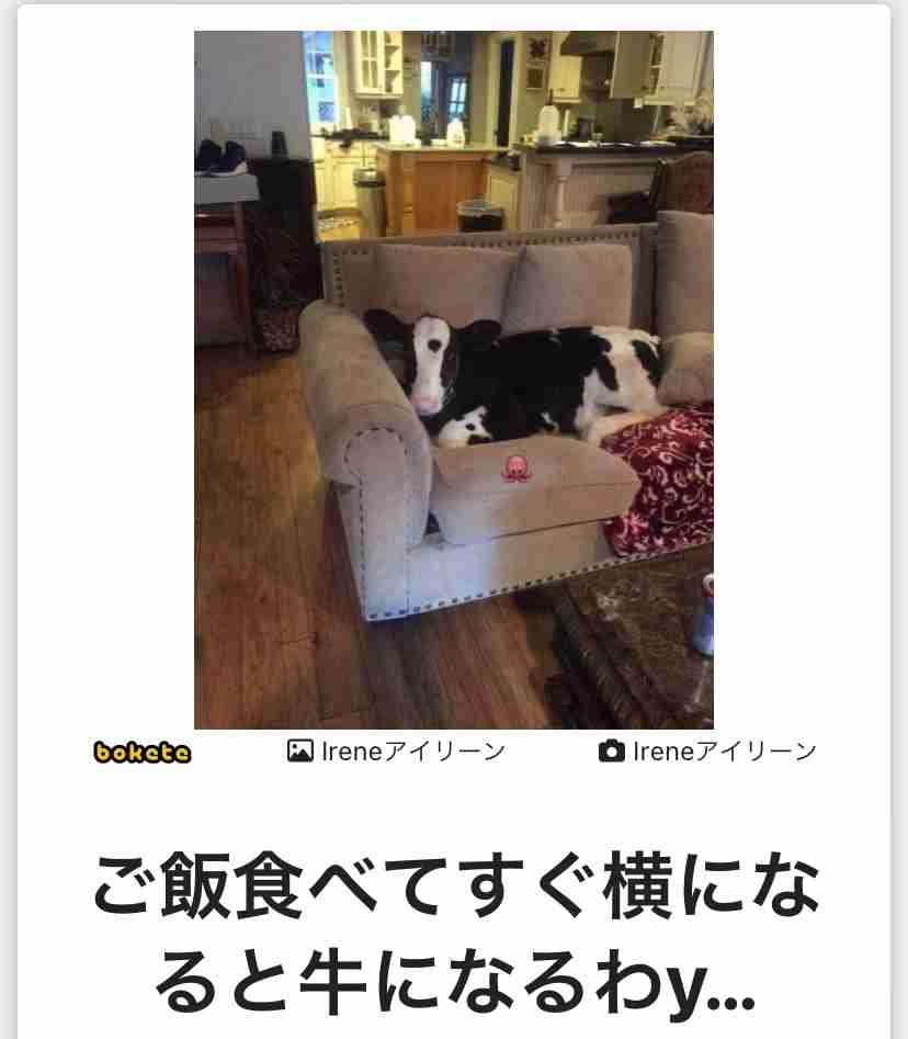 【ガチでは信じてないけど】なんか気にしてしまう迷信【根拠ないのに】