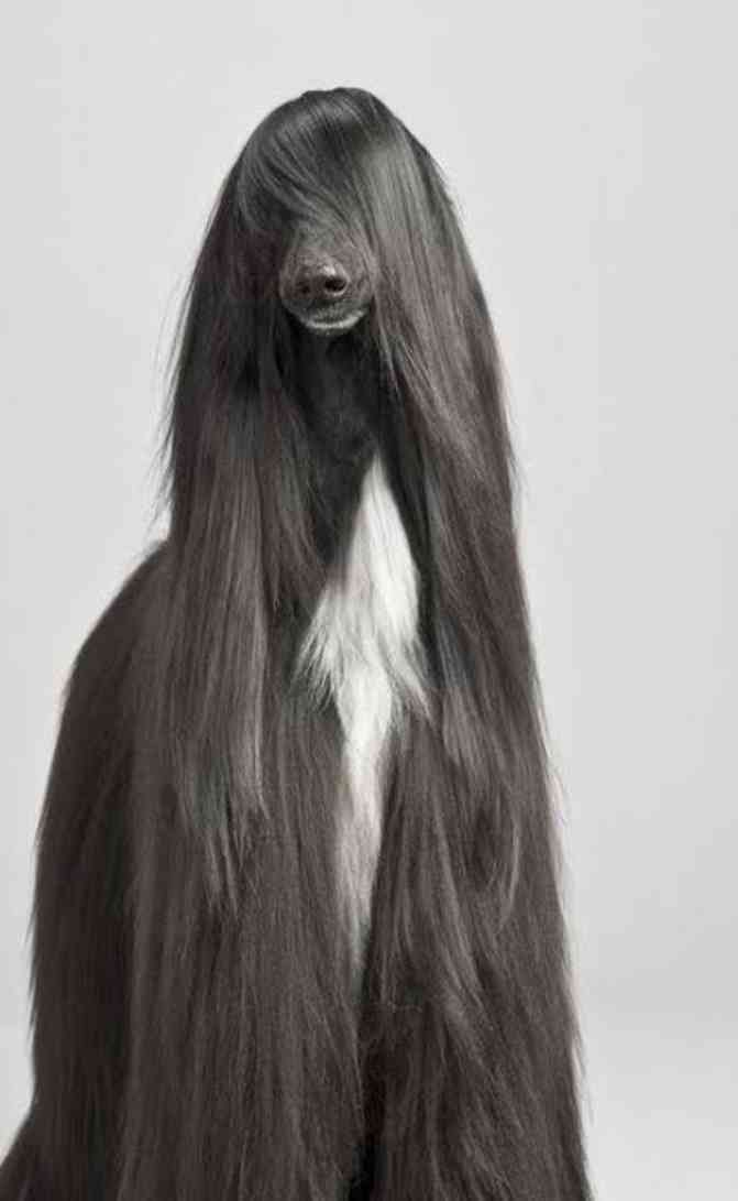 なんだかんだロングヘアをやめられない人〜！