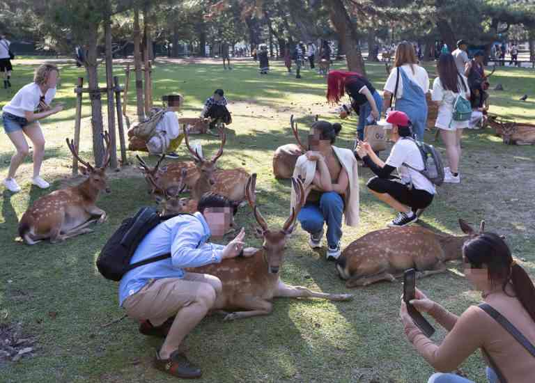 浅草寺の手水で洗髪、奈良公園の鹿を叩く…近隣住民が困惑する「迷惑な外国人観光客」の言動
