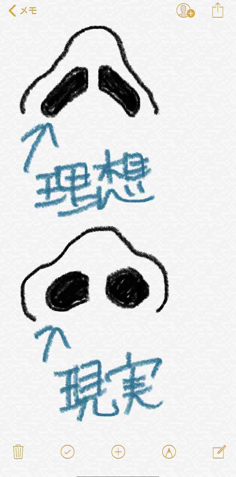 鼻の穴が丸い人 アラサー女子のための情報おまとめブログ 鼻の穴が丸い人 アラサー女子のための情報おまとめブログ