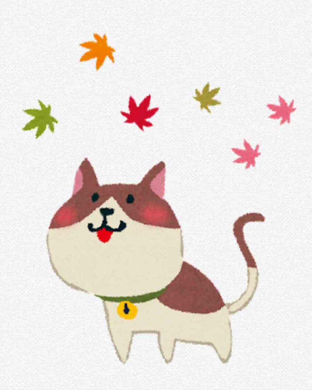 50代を楽しんでる人