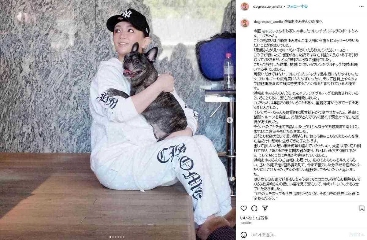 浜崎あゆみに「イメージ変わった」「優しい方なんですね」　保護犬引き取りに称賛、団体側「女神様のようなご連絡でした」