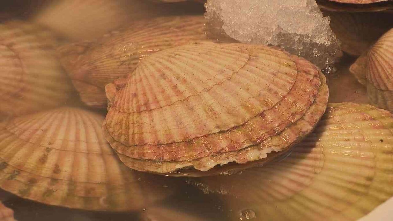 中国が日本産水産物を事実上輸入停止「ビクビクしながら…」北海道の水産業者からは落胆の声　約2年ぶりに中国への出荷が再開されたばかり