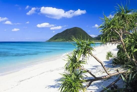 沖縄県を語りたい