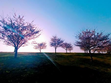 インナーチャイルドを癒やしたい