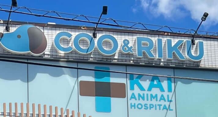 ペットショップ「クーアンドリク」の客が怒りの告発　買ったばかりの子犬が瀕死で入院中なのに…店長は「治療費は払えない、交換ならできます」